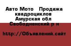 Авто Мото - Продажа квадроциклов. Амурская обл.,Свободненский р-н